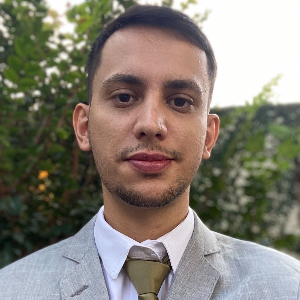 Professor