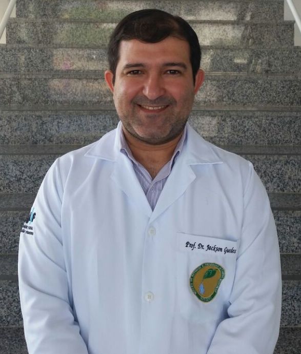 Professor