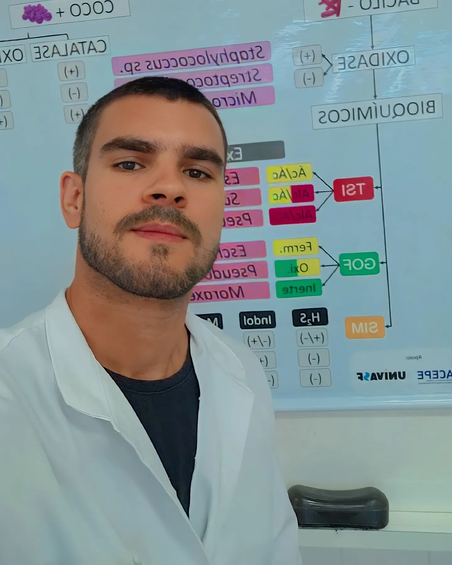 Professor